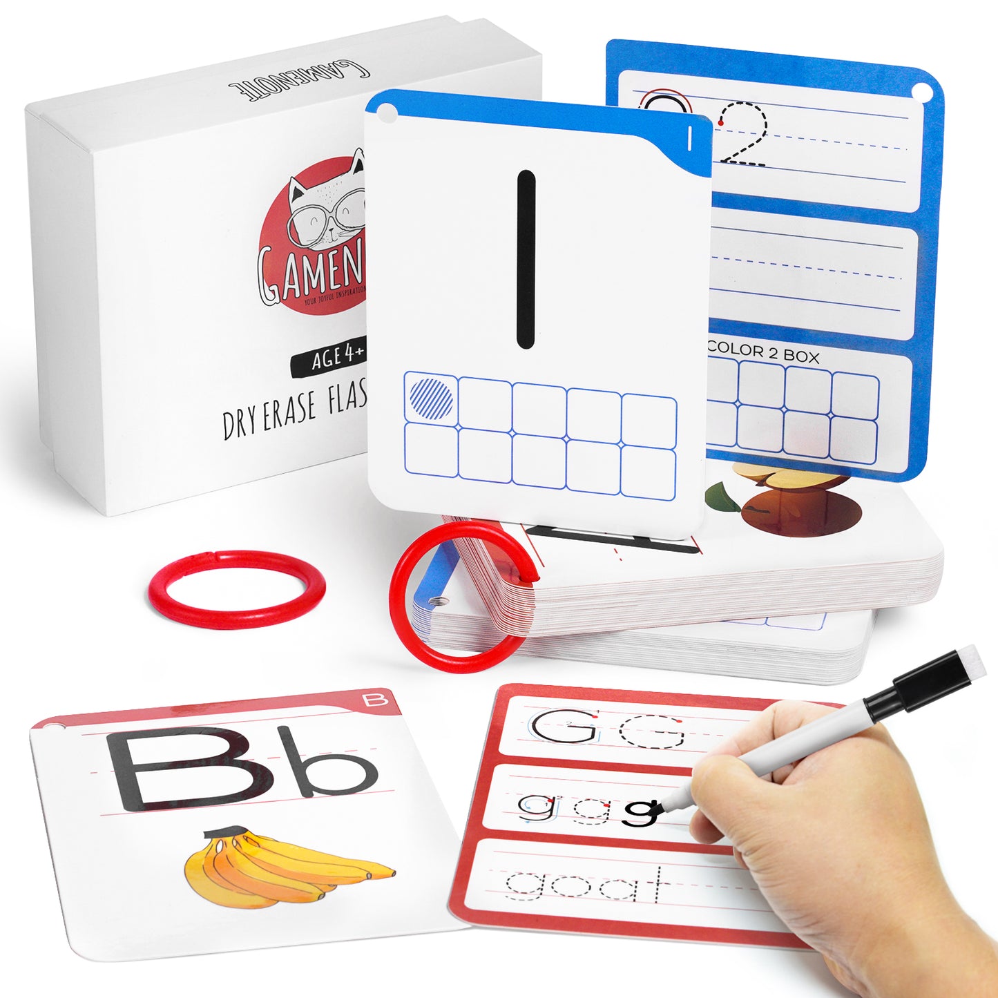 Dry Erase Alphabet and Number Flash Cards