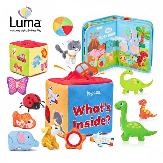 Soft Feely Box + Dinosaur Busy Book