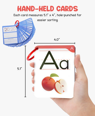 Dry Erase Alphabet and Number Flash Cards